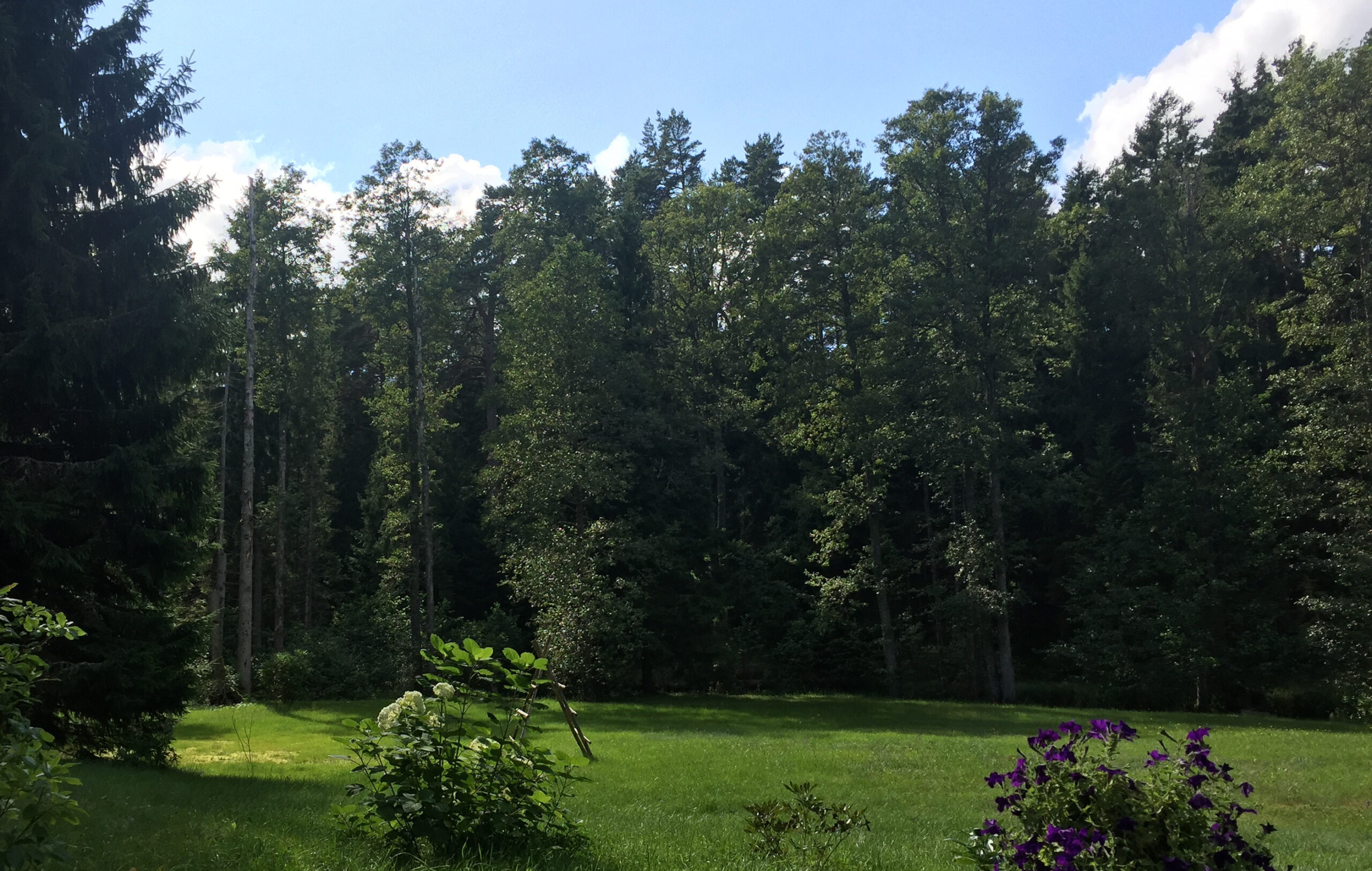 sürdürülebilirlik